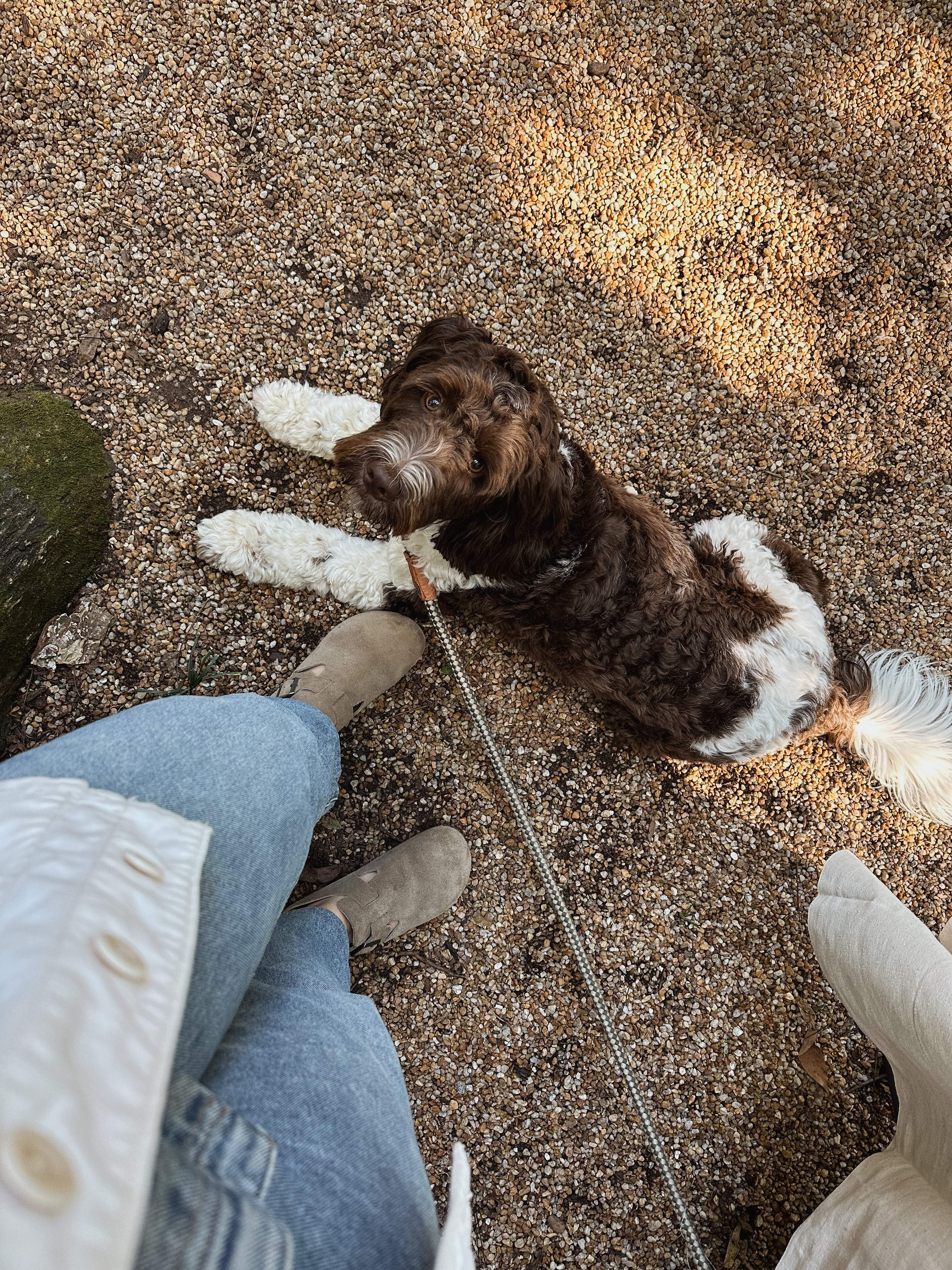 thumbnail based on file