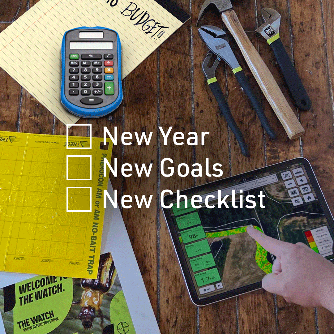 thumbnail based on file