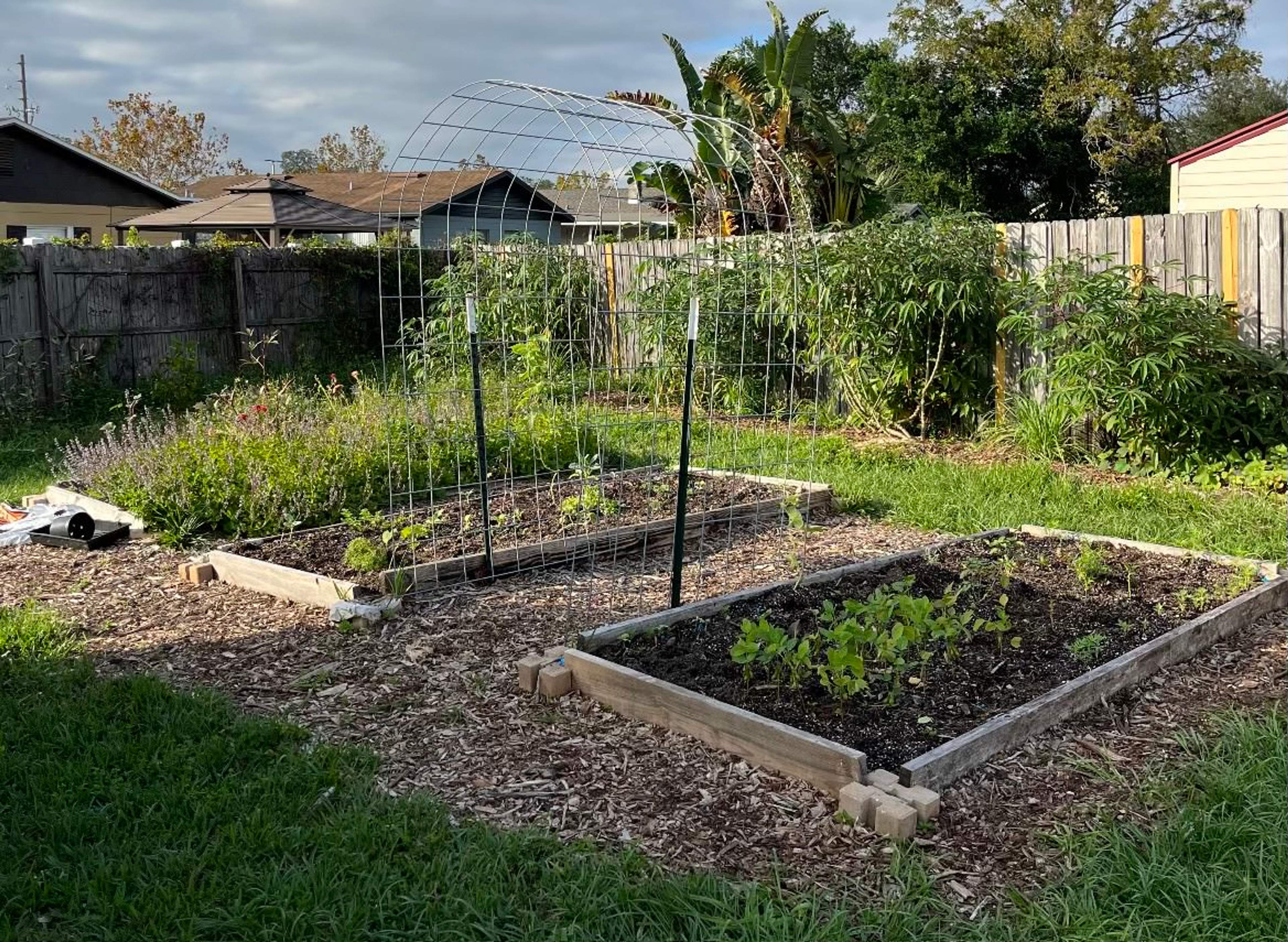 DIY Garden, permaculture, food forest