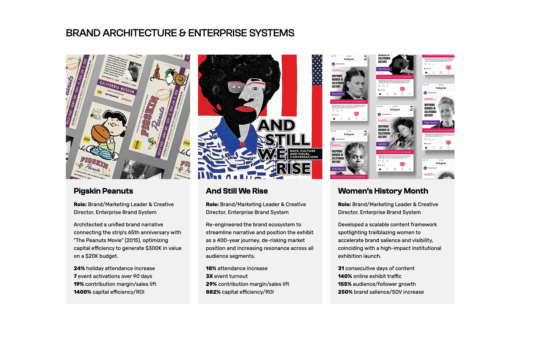 Brand architecture and enterprise systems work example image by Brenna Hamilton.