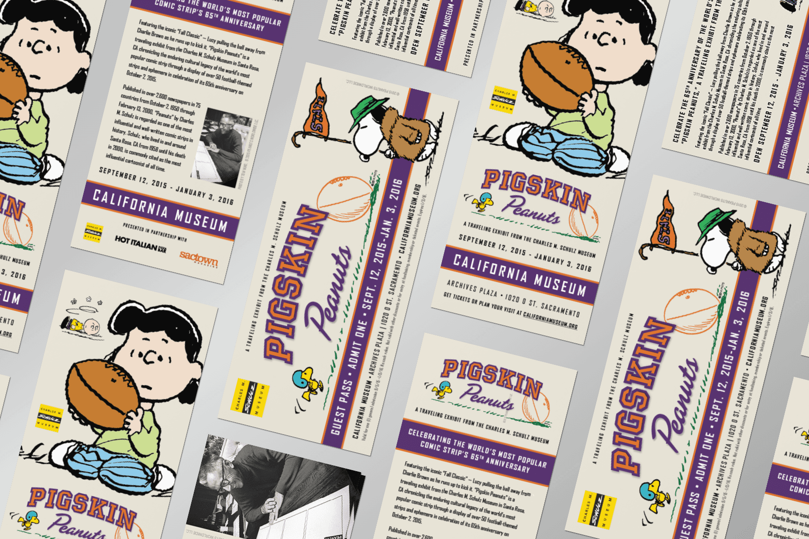 Image of Pigskin Peanuts rack card and guest pass from a traveling exhibit brand system by Brenna Hamilton.