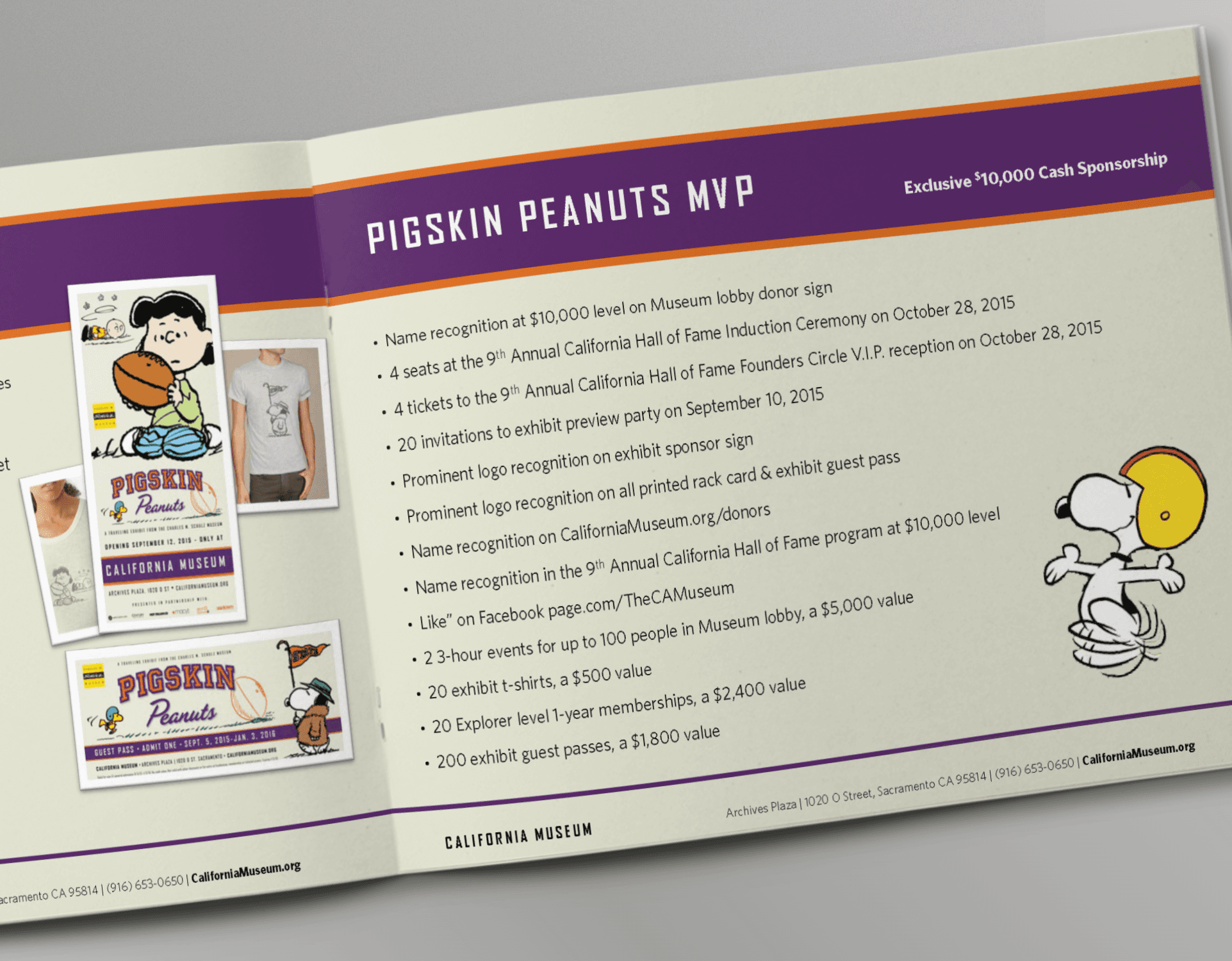 Image of Pigskin Peanuts sponsor deck from a traveling exhibit brand system by Brenna Hamilton.