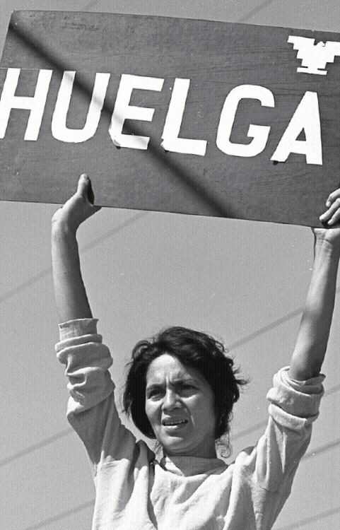 Image of an animated social post promoting "Dolores Huerta" exhibit from a bilingual brand system by Brenna Hamilton.