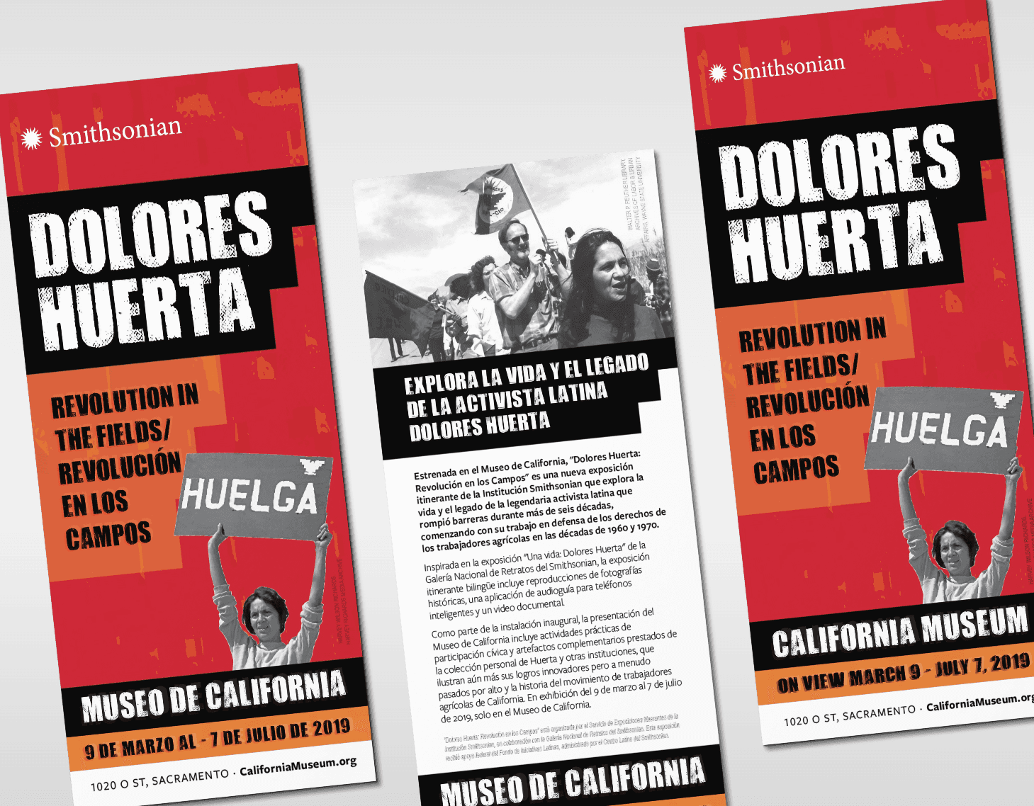 Image of bilingual rack cards promoting "Dolores Huerta" exhibit from a bilingual brand system by Brenna Hamilton.