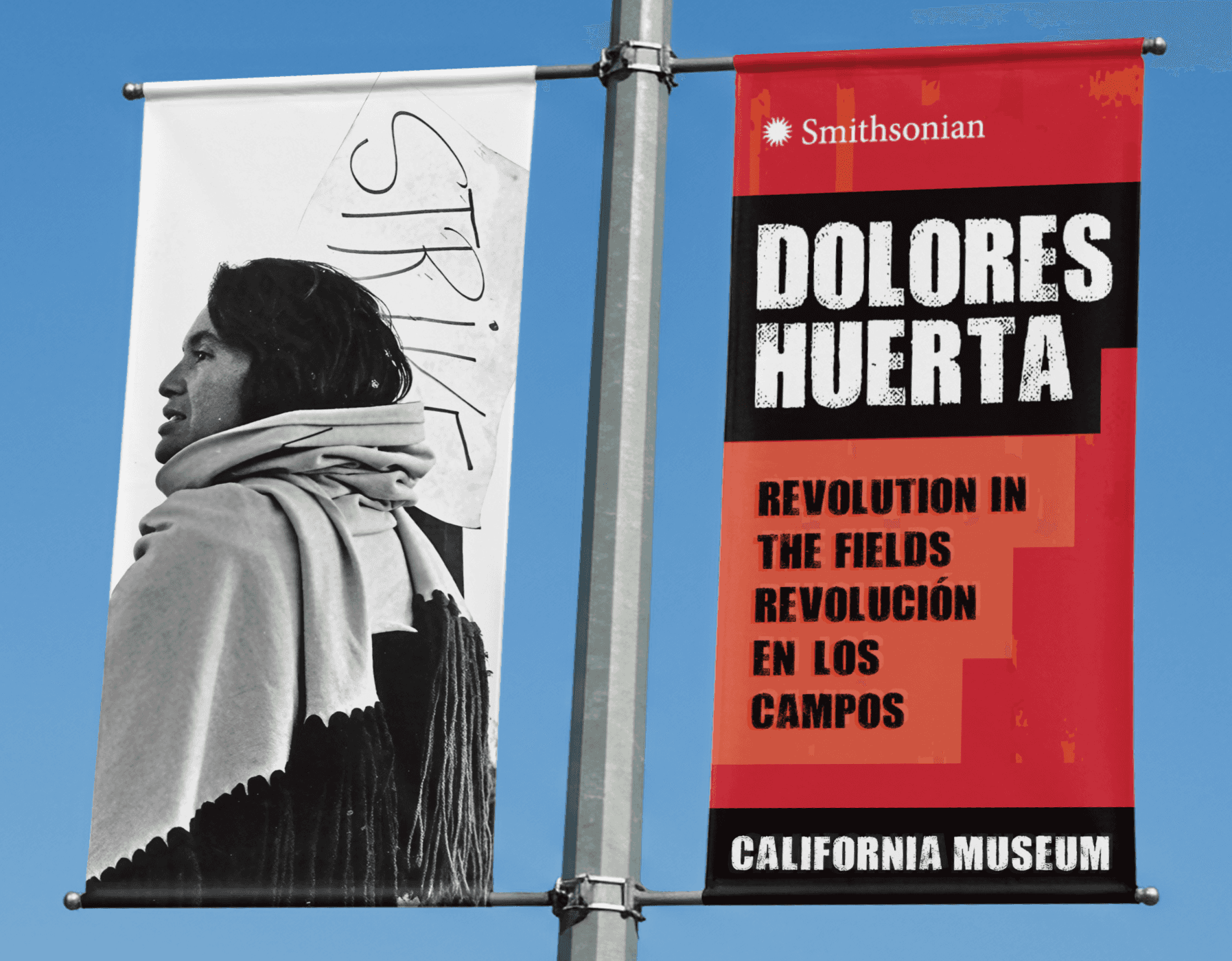 Image of light pole banners promoting "Dolores Huerta" exhibit from a bilingual brand system by Brenna Hamilton.