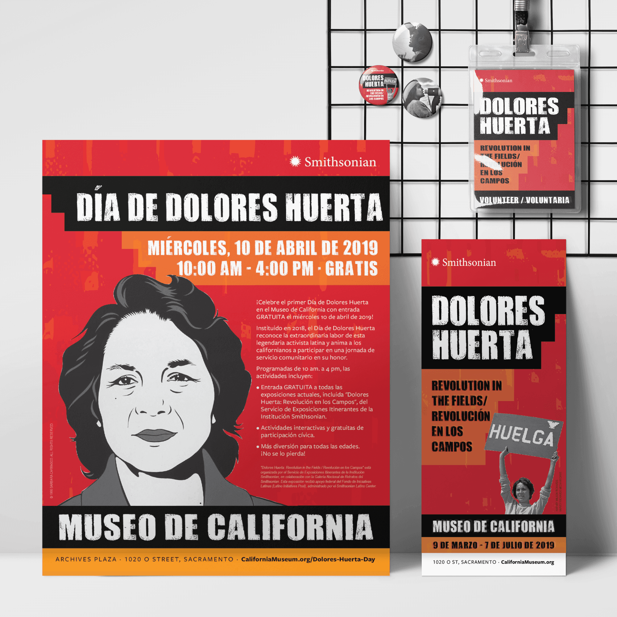 Image of flyer, rack card, buttons, and badge for a bilingual brand system by Brenna Hamilton.