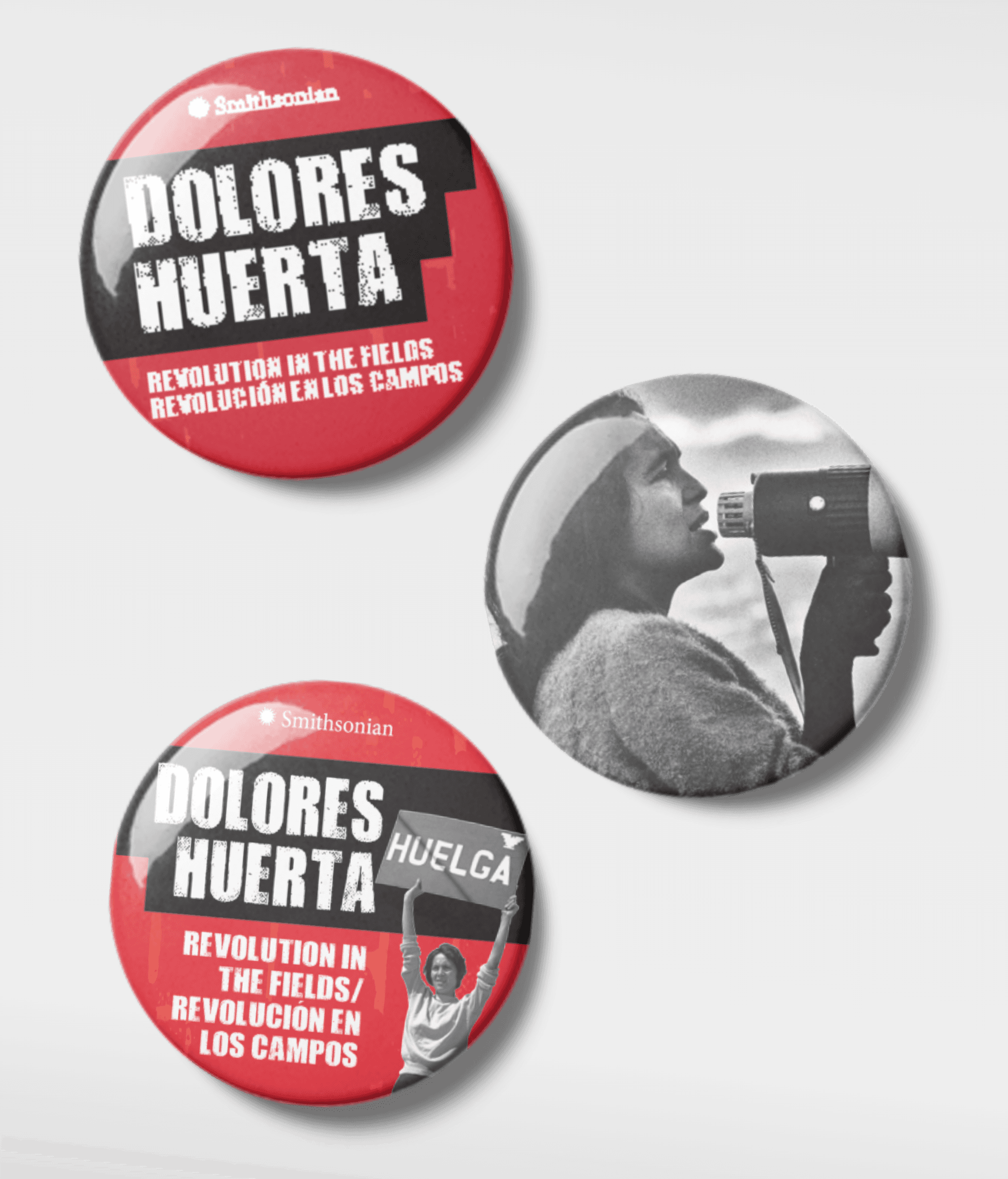 Image of branded pin-back buttons promoting "Dolores Huerta" exhibit from a bilingual brand system by Brenna Hamilton.