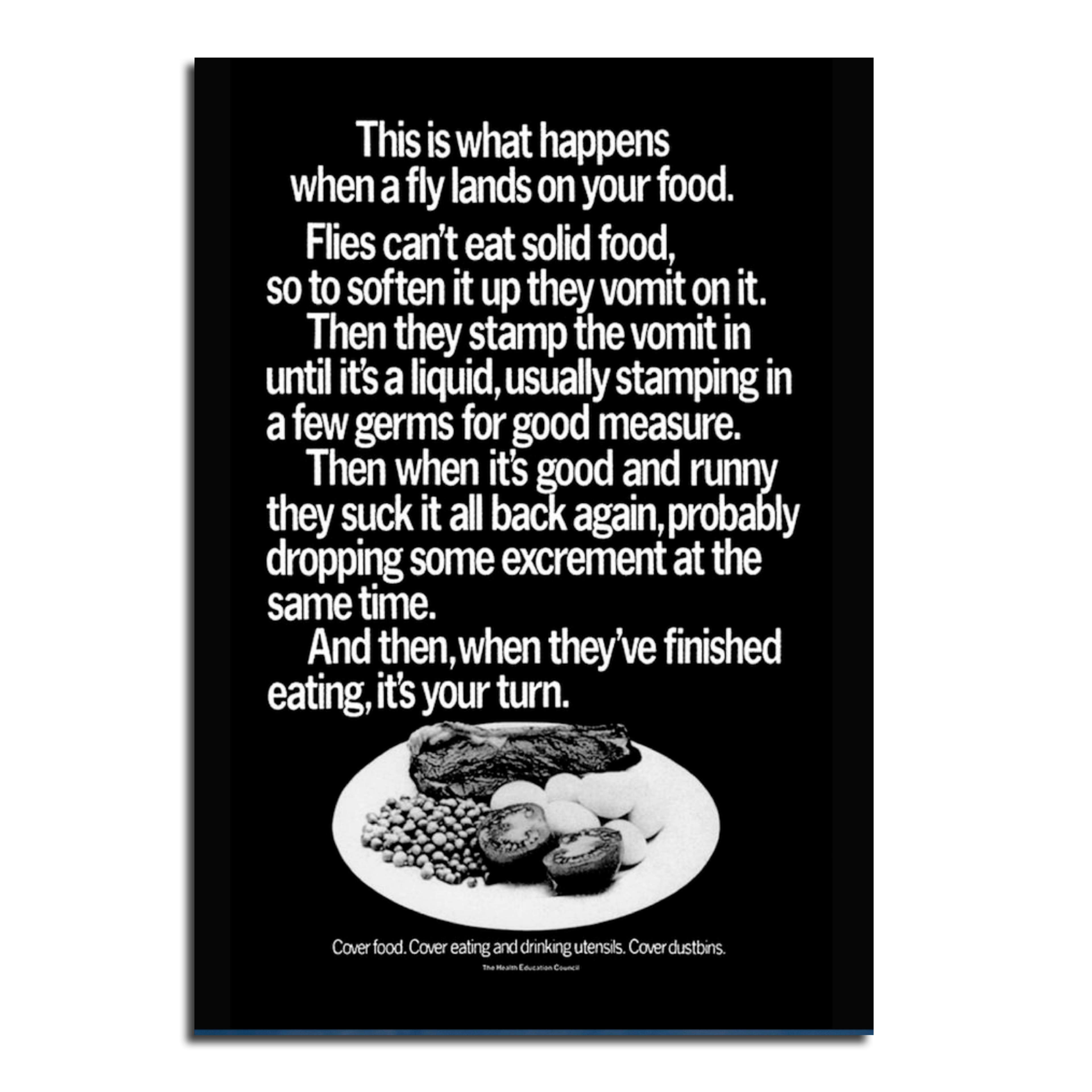 Award-winning copywriting by Charles Saatchi. A fly eating food on a dinner plate.