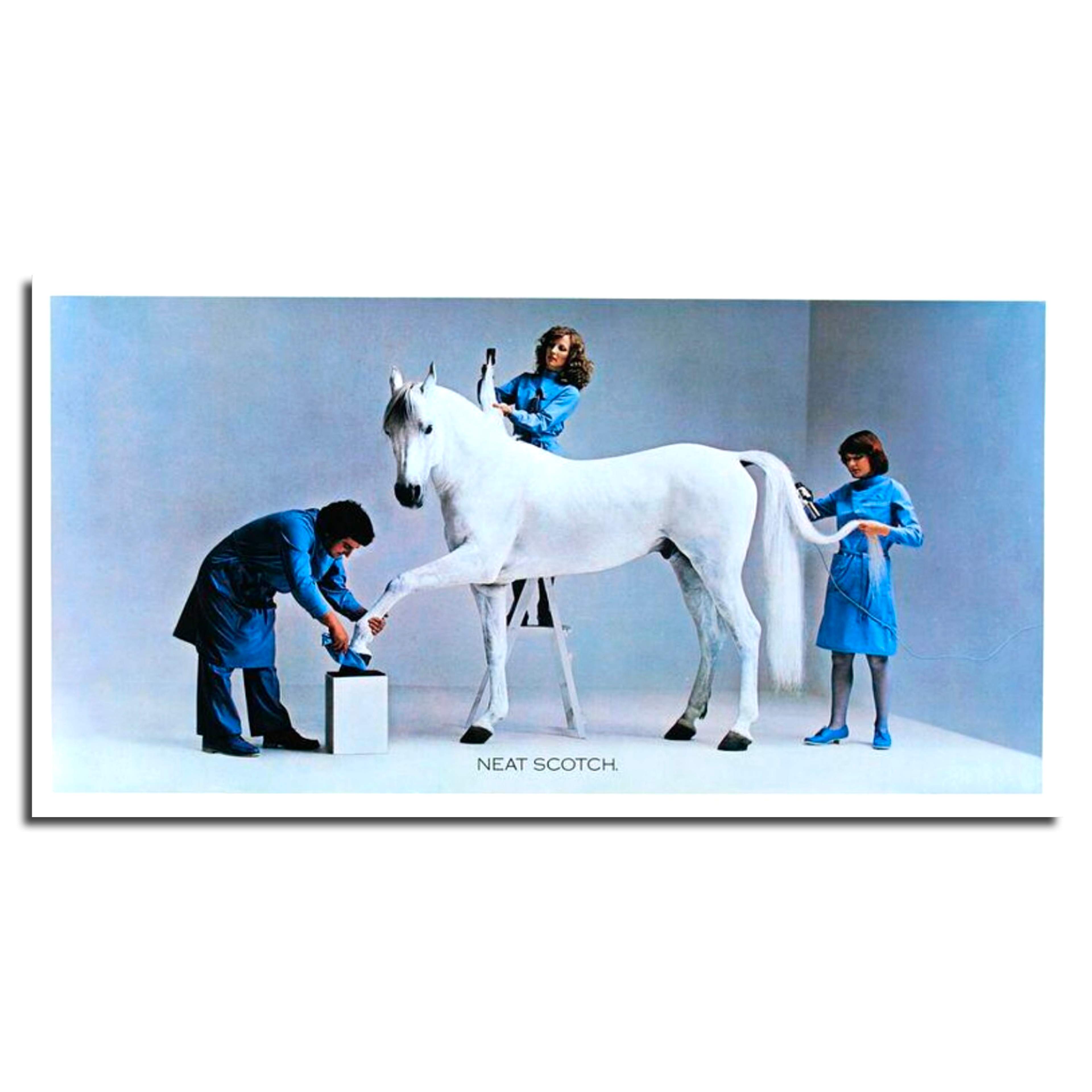 Colour photograph of a white horse being groomed by three people with a hairdryer, brush and nail polish. Award-winning ad for White Horse.
