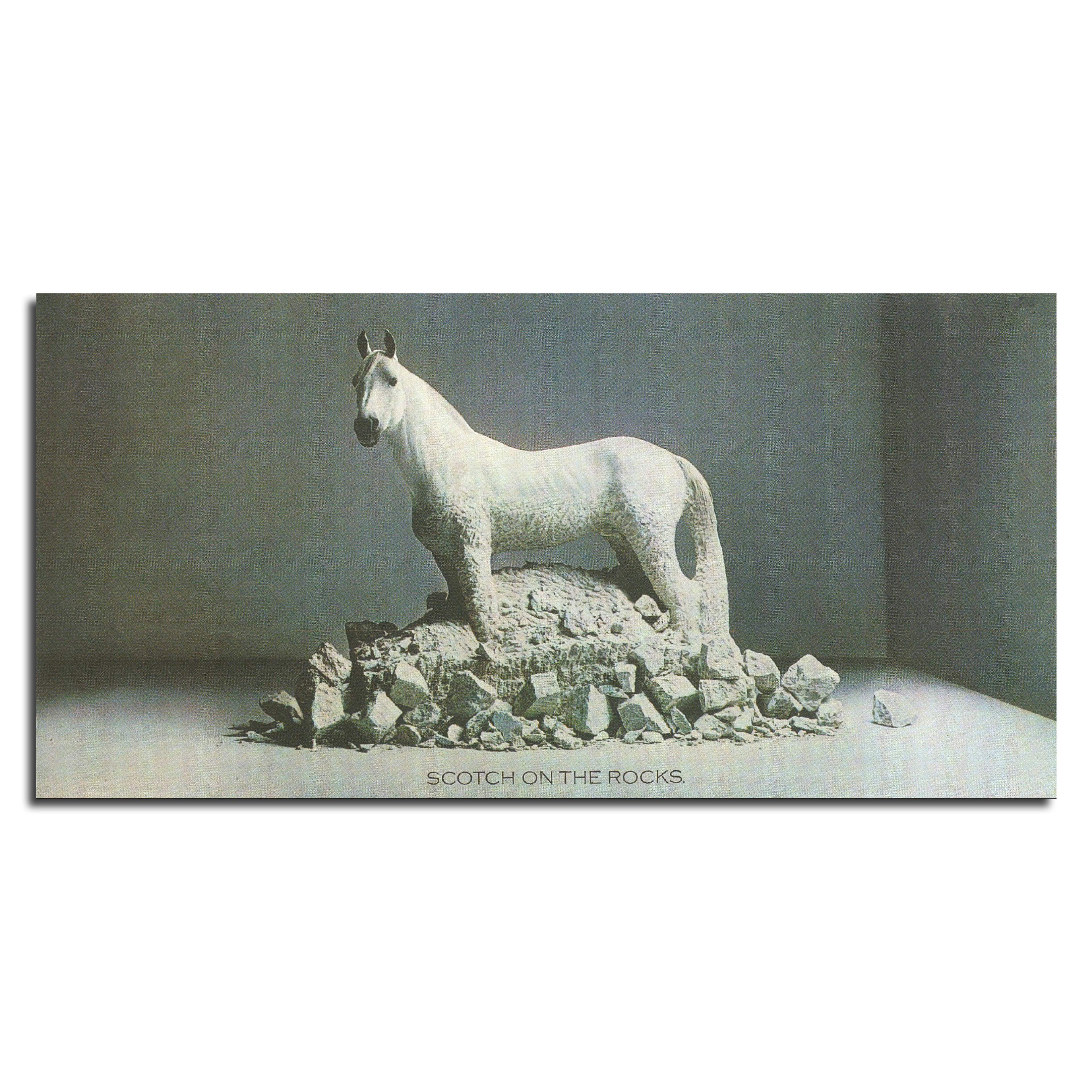 Photograph of a large white horse standing amongst a pile of white rocks. Award-winning White Horse Whisky poster.