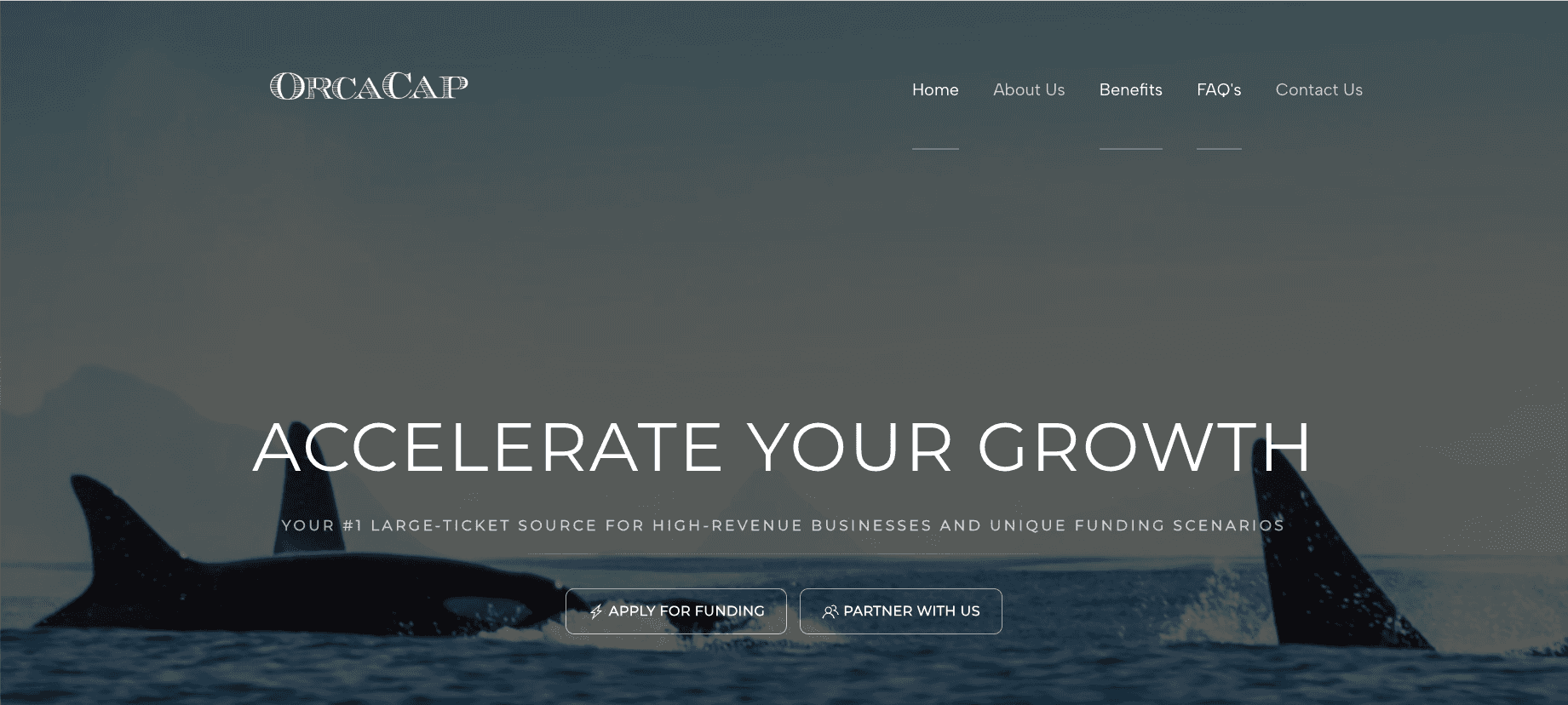 Orca Capital homepage with an orca in the ocean, the headline Accelerate Your Growth, and funding and partnership options.