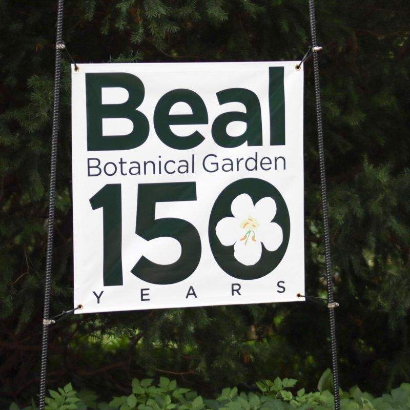 thumbnail based on file