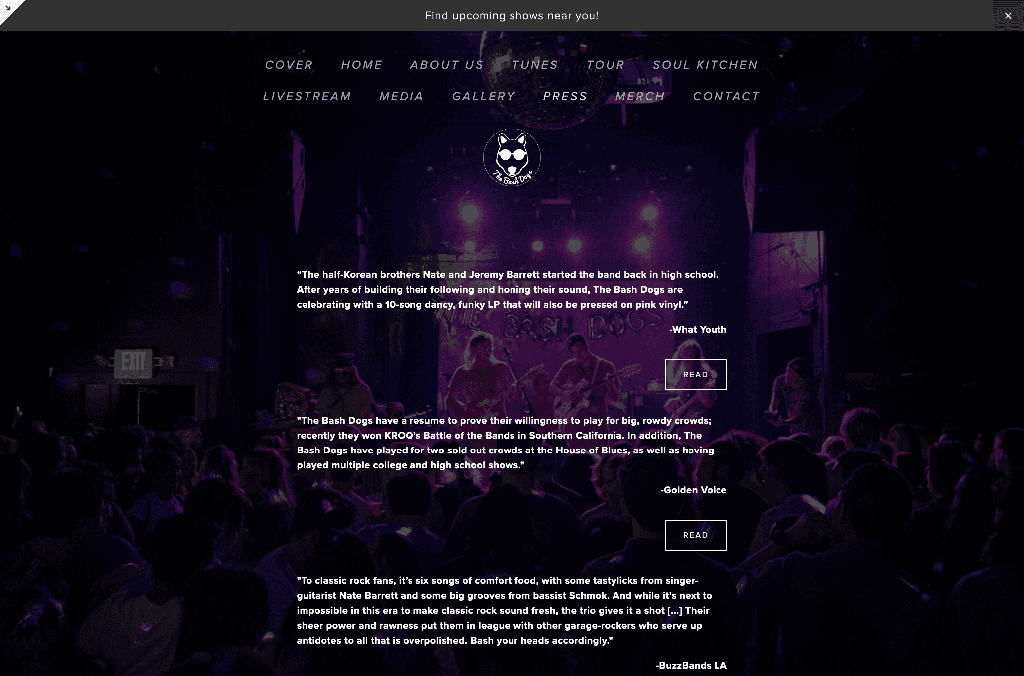 — Veronica Levinsky, Head of Marketing at Copyfolio