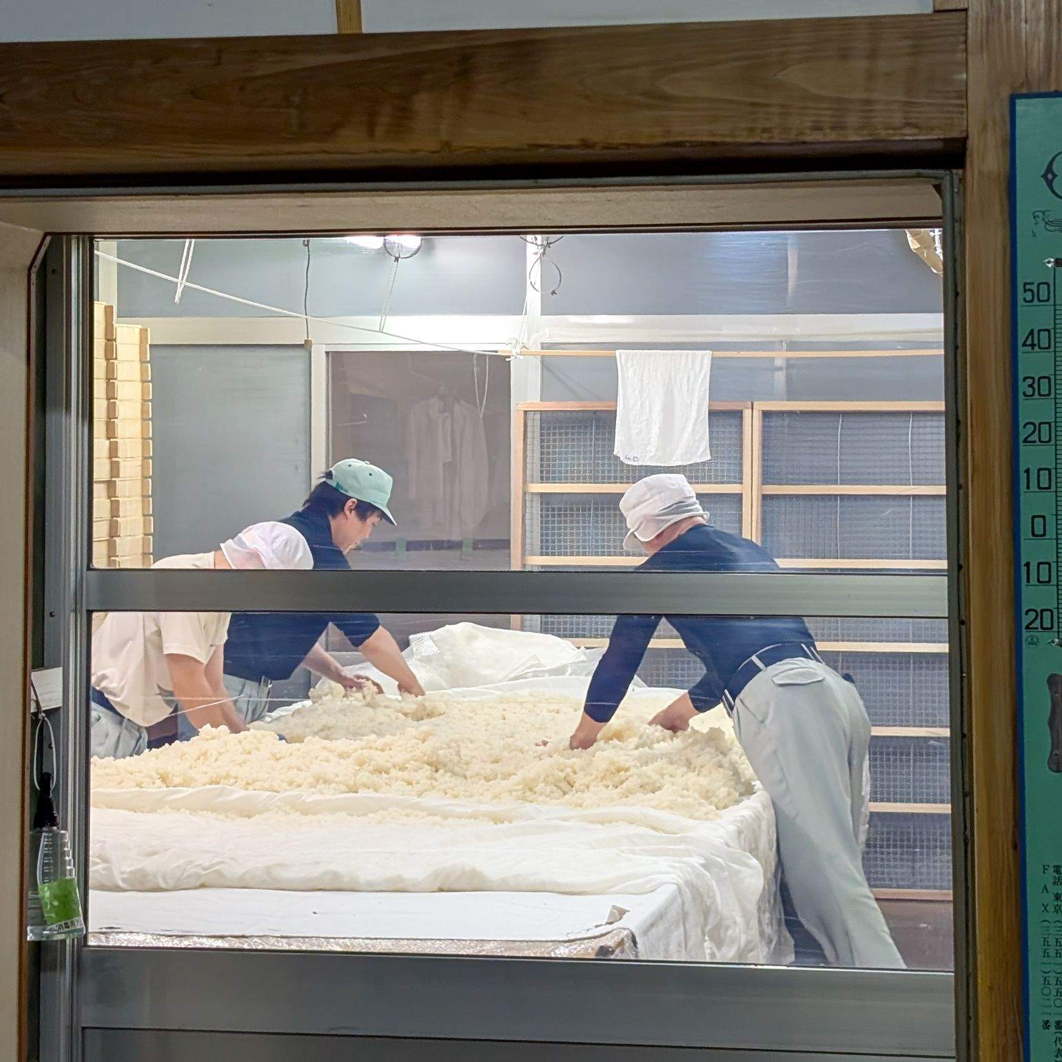 Three workers hand-spreading steamed rice during the koji-making process, viewed through a window at Suzuki Brewing in Daisen, Akita.