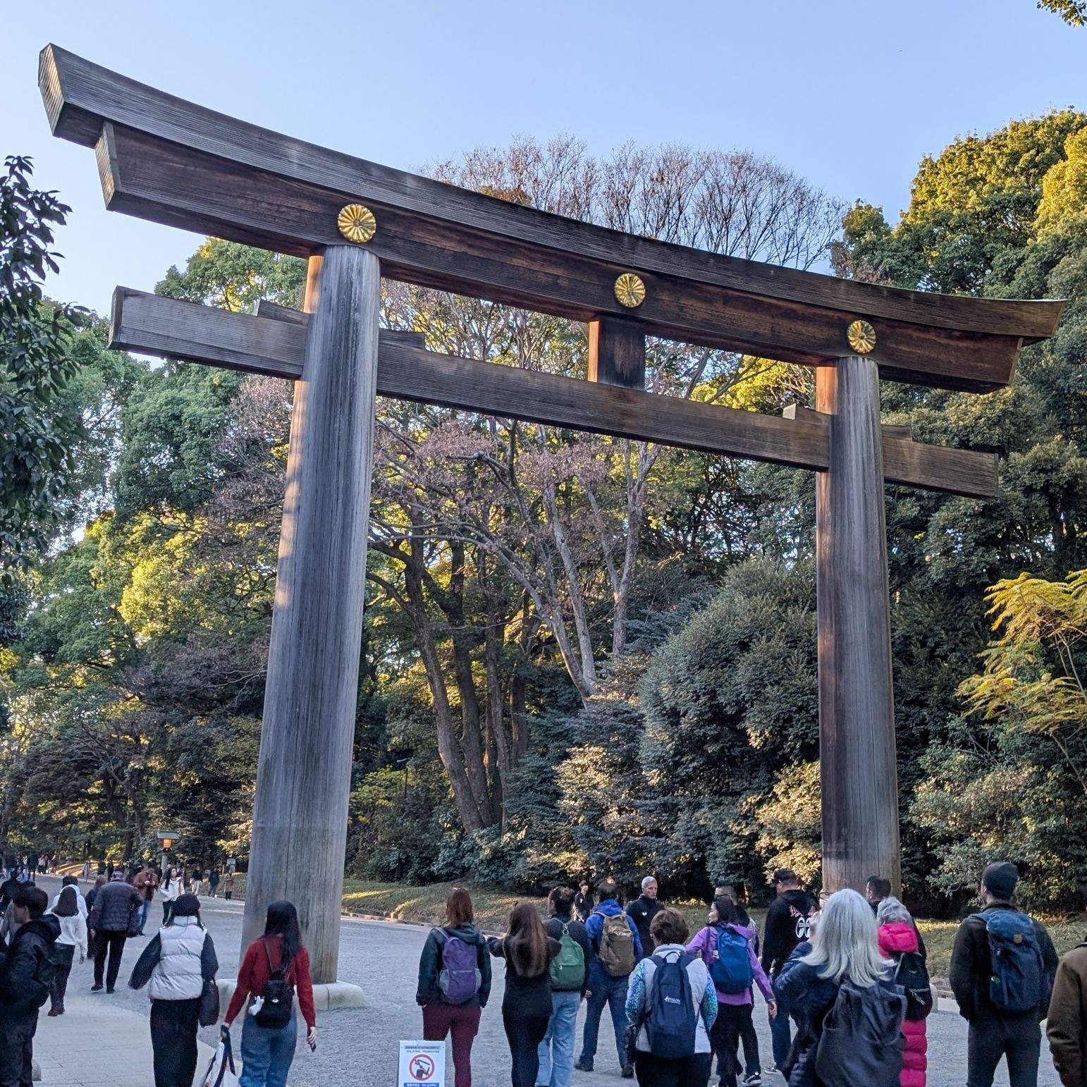 The towering wooden torii gate at Meiji Shrine in Yoyogi Park, Tokyo, with visitors gathered beneath it surrounded by forest.