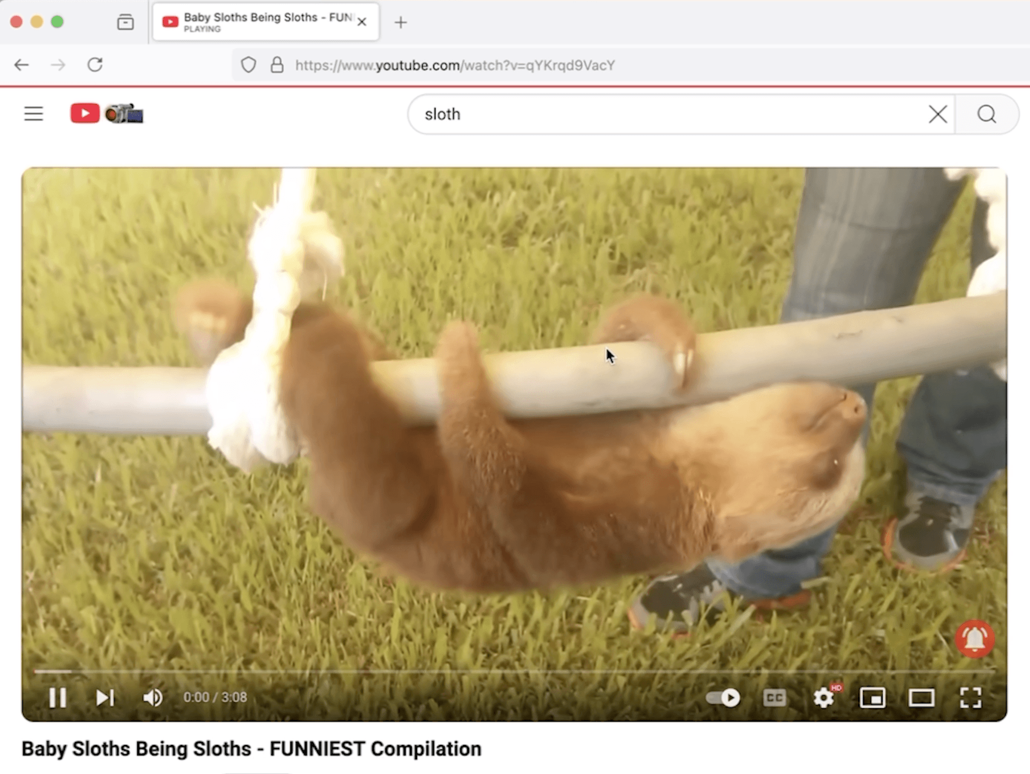 — Veronica Levinsky, Head of Marketing at Copyfolio