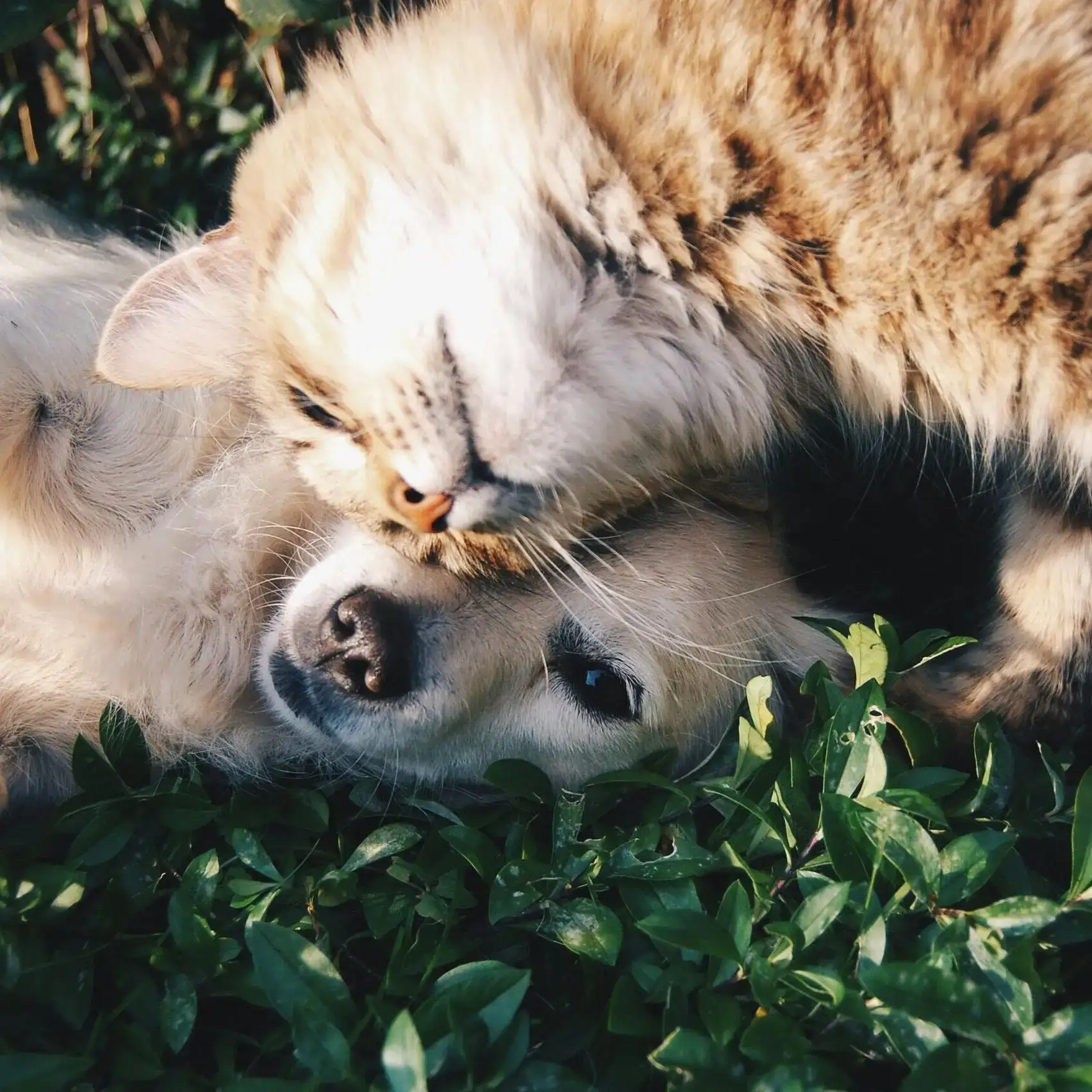 thumbnail based on file