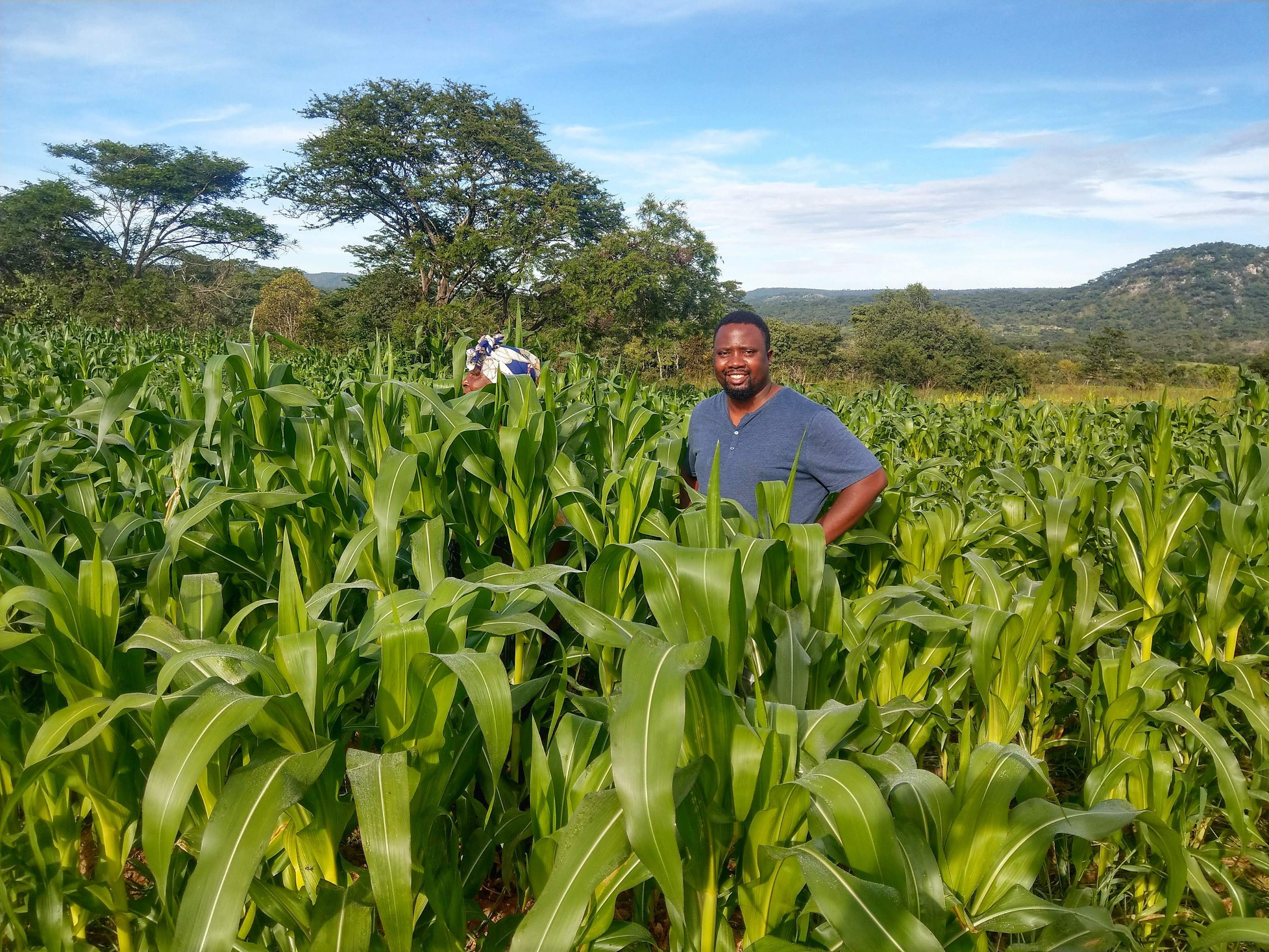 Thabang Manhika at his farm in Macheke. Zimbabwe