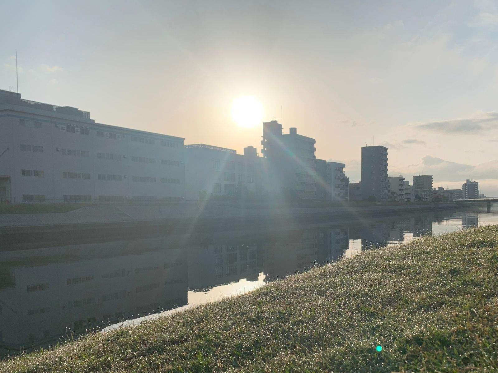 Sun rises over buildings on the other side of a river, with grass and morning dew in the foreground.
