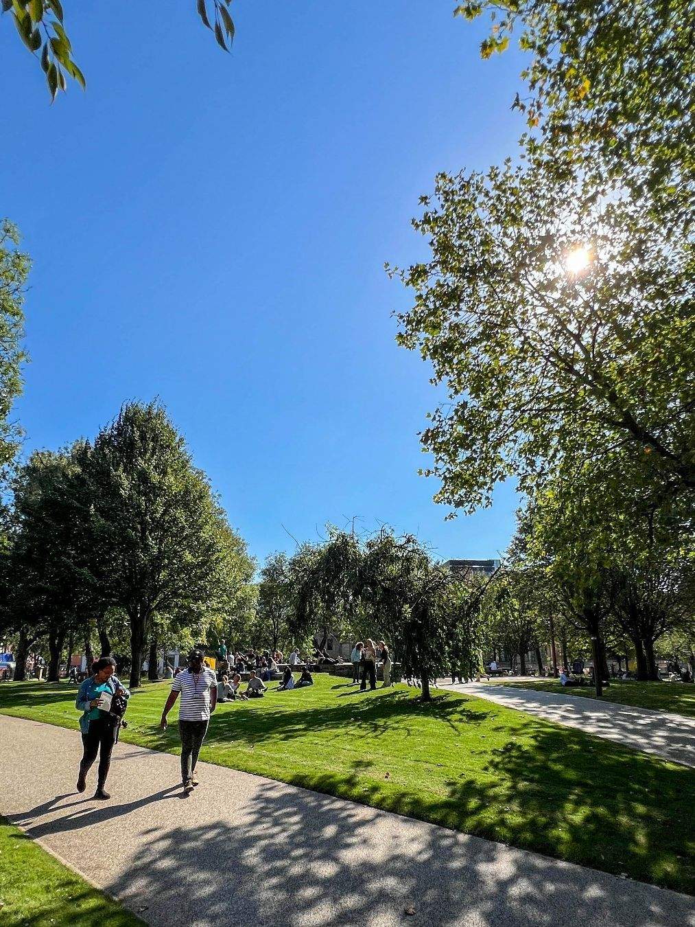 A green park under blue skies. Two people are walking together on a path near a tree casting shade.