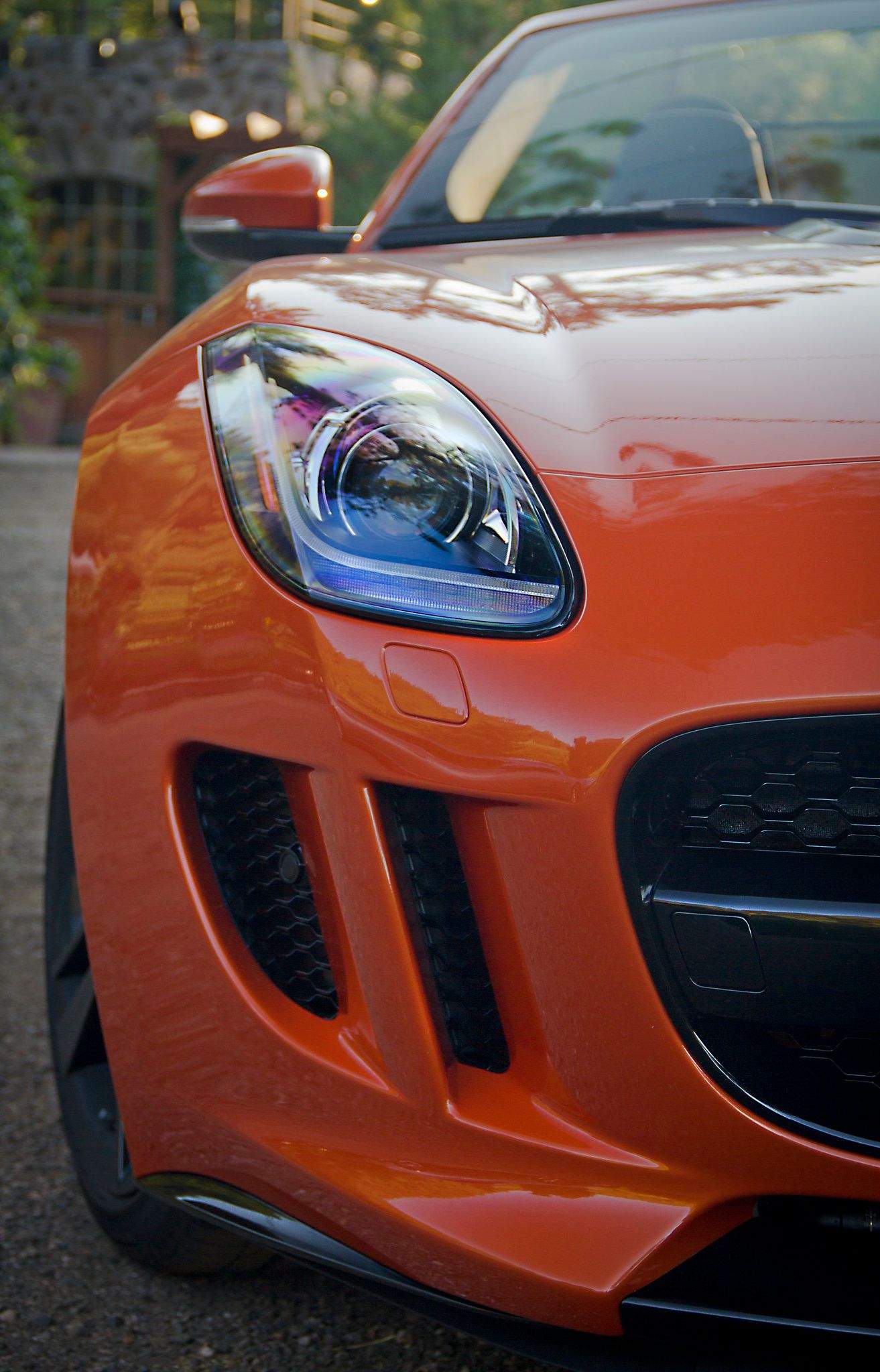 The front of the F-TYPE features xenon HID headlights