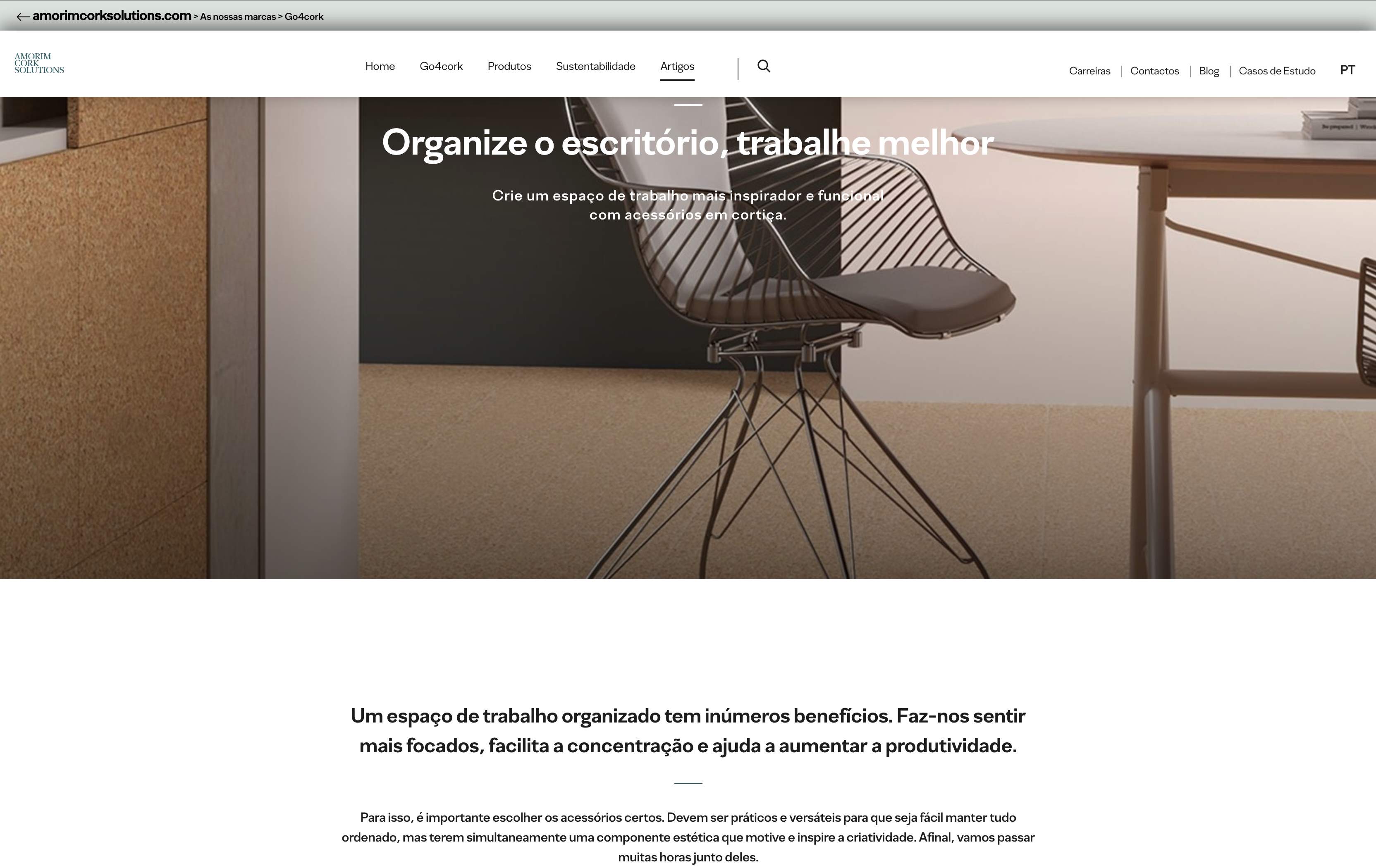 Portefo´lio Elsa Fernandes - Blog Go4cork