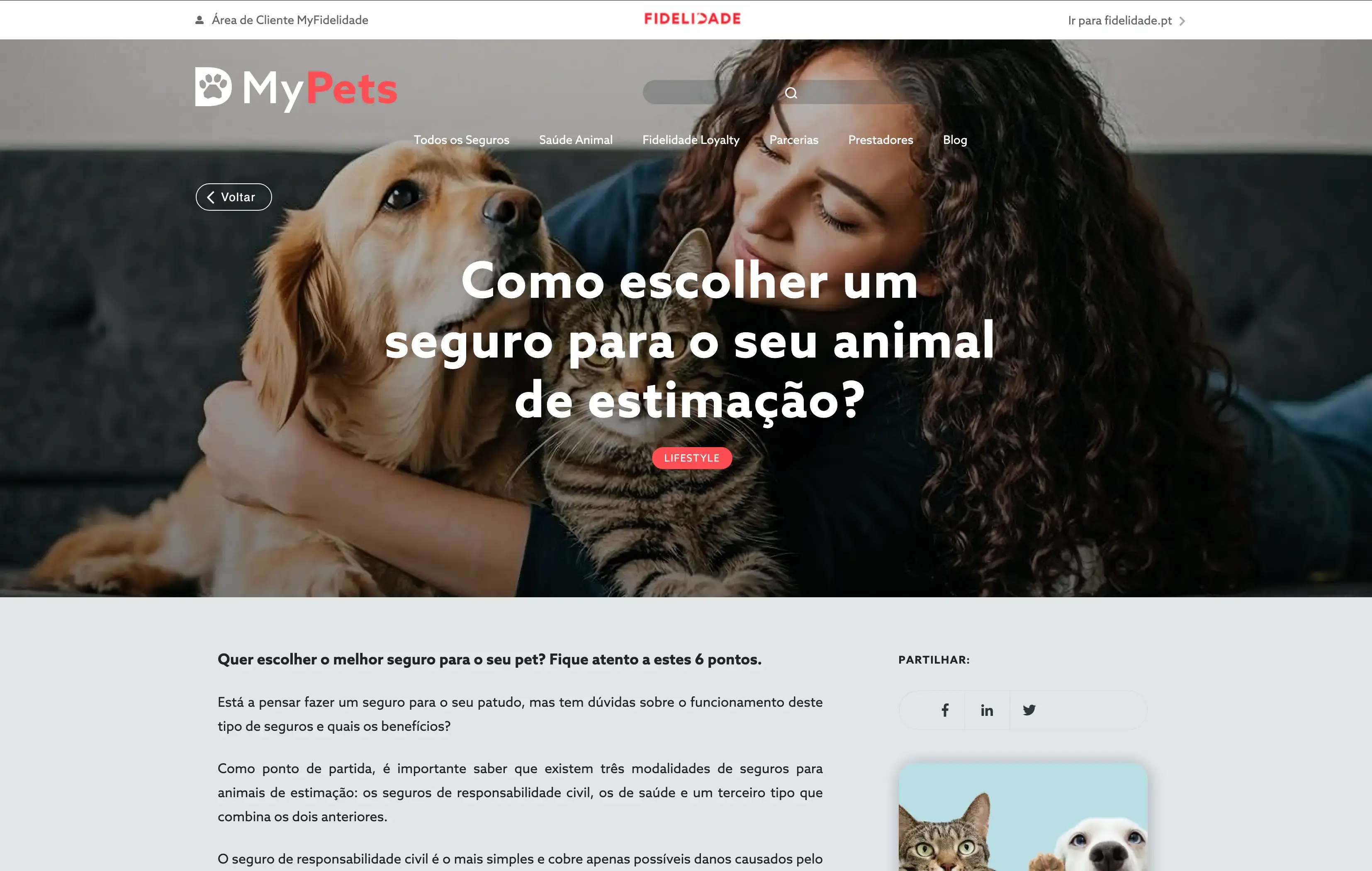 Portefo´lio Elsa Fernandes - Blog Fidelidade Pets