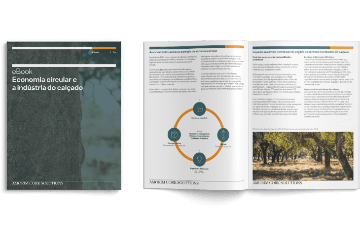 Portefo´lio Elsa Fernandes - Memorias de Vida