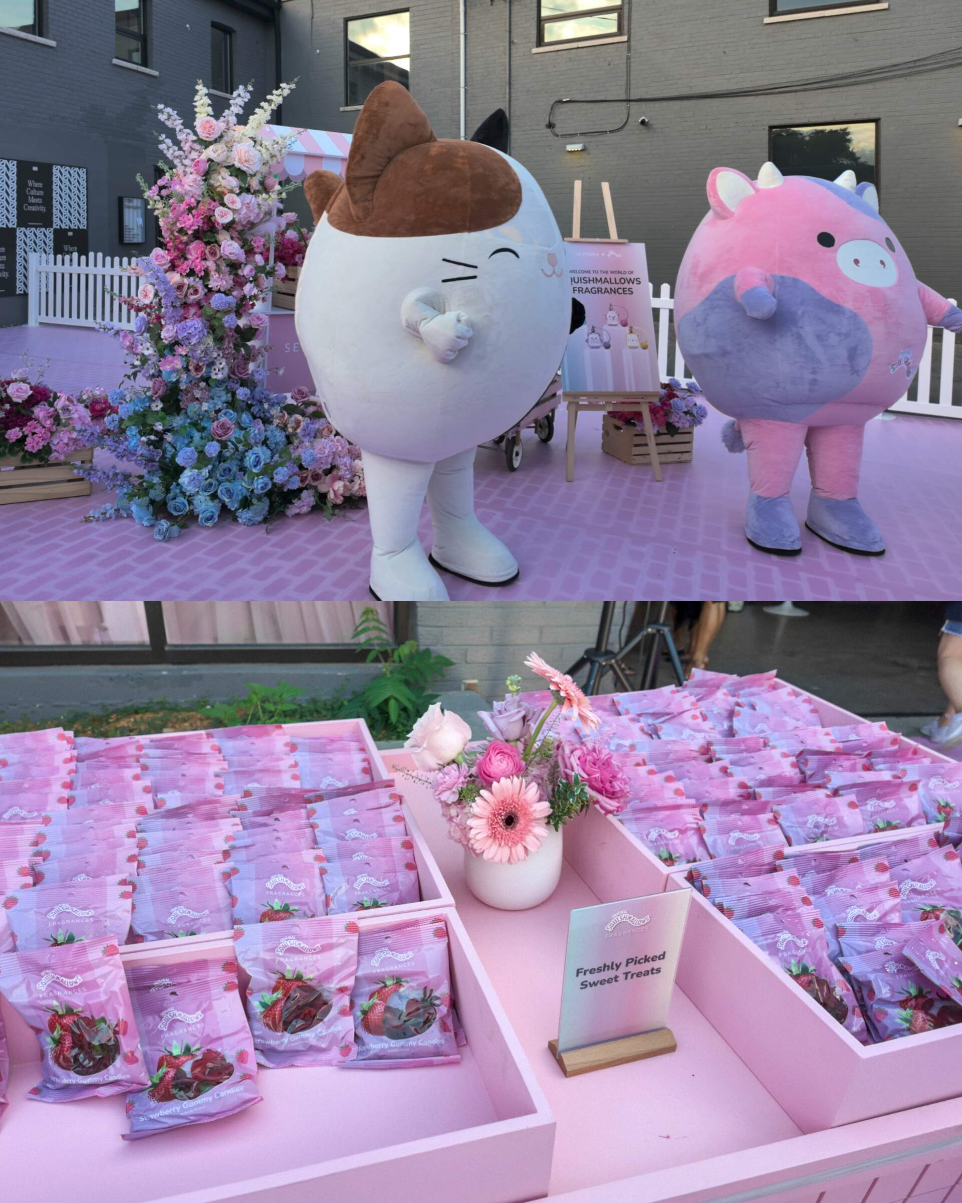 Pink crates of Squishmallows Fragrances strawberry gummy candies below a Freshly Picked Sweet Treats sign, Squishmallows mascots dancing