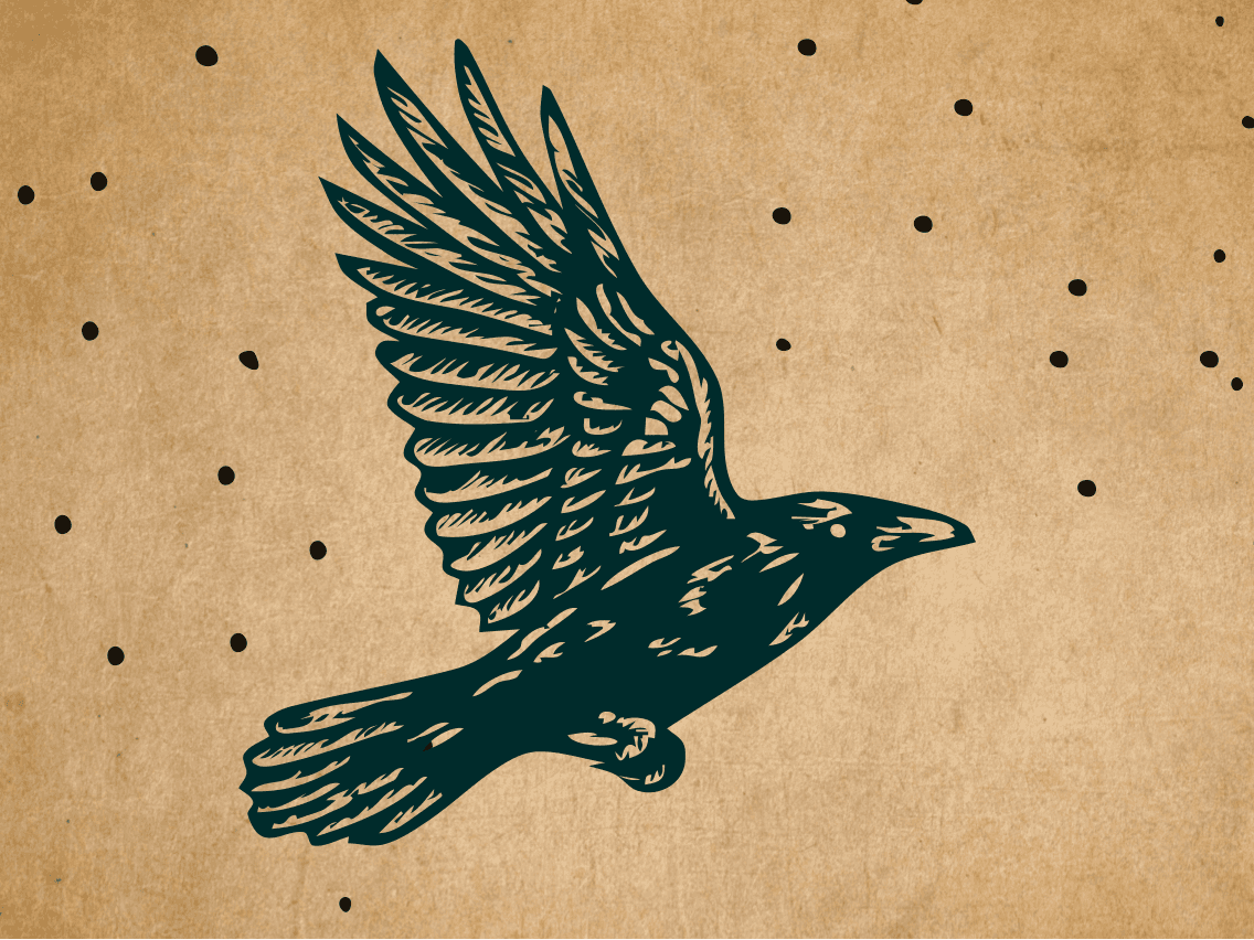 Ink drawing of a raven in flight - contacting the brand strategist