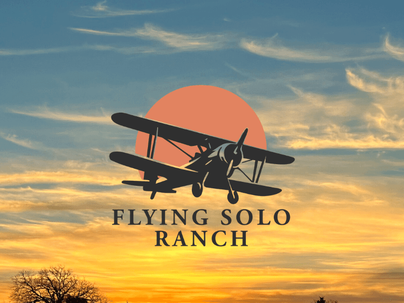 Biplane logo for Flying Solo Ranch
