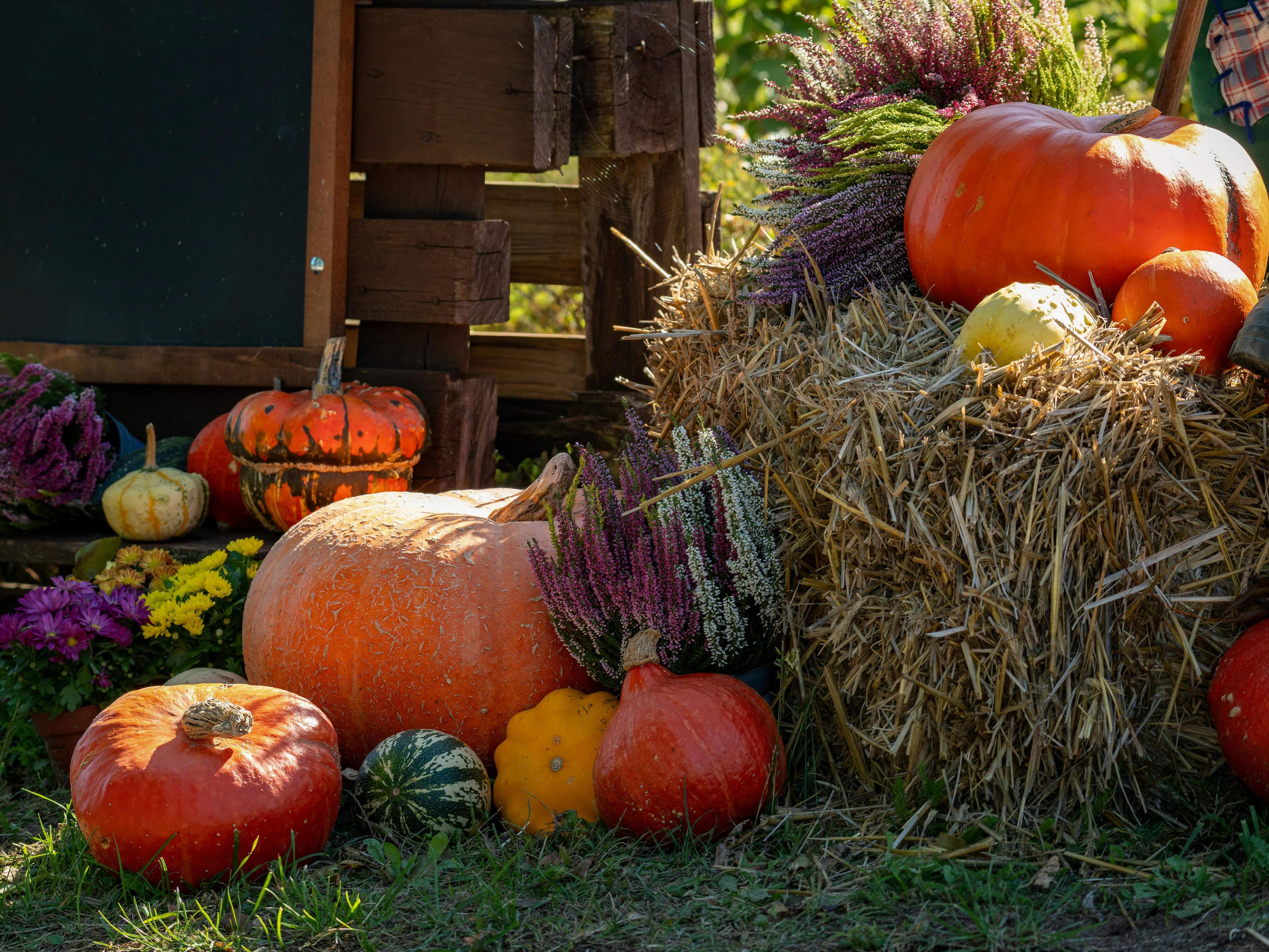 Autumn in the Berkshires is a special time for fresh local produce.
