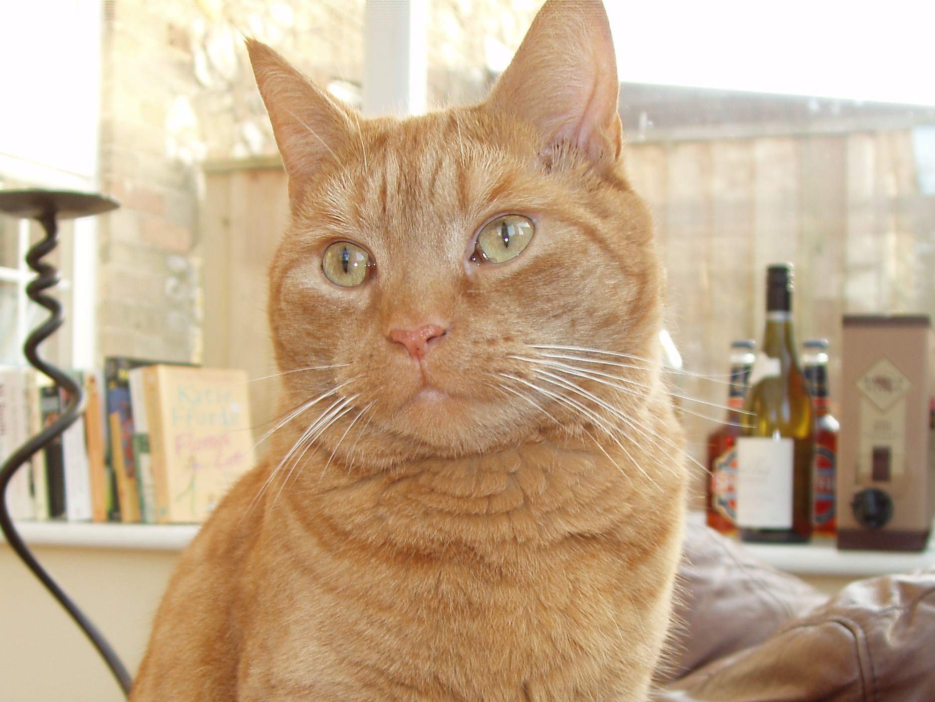 thumbnail based on file