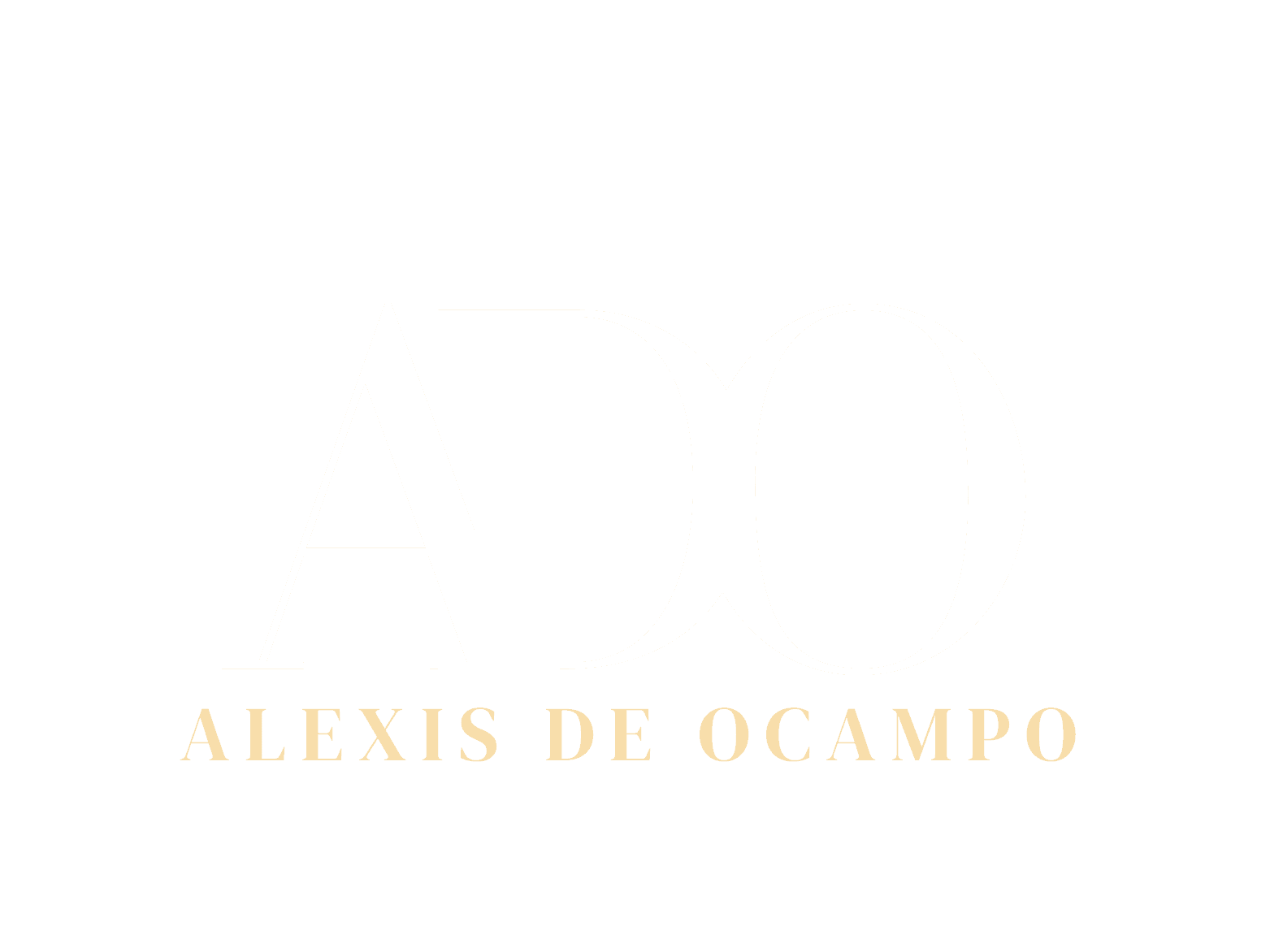 Chevron flow diagram labeled Data → Insight → Creative → Outcome, with matching icons beneath each stage.