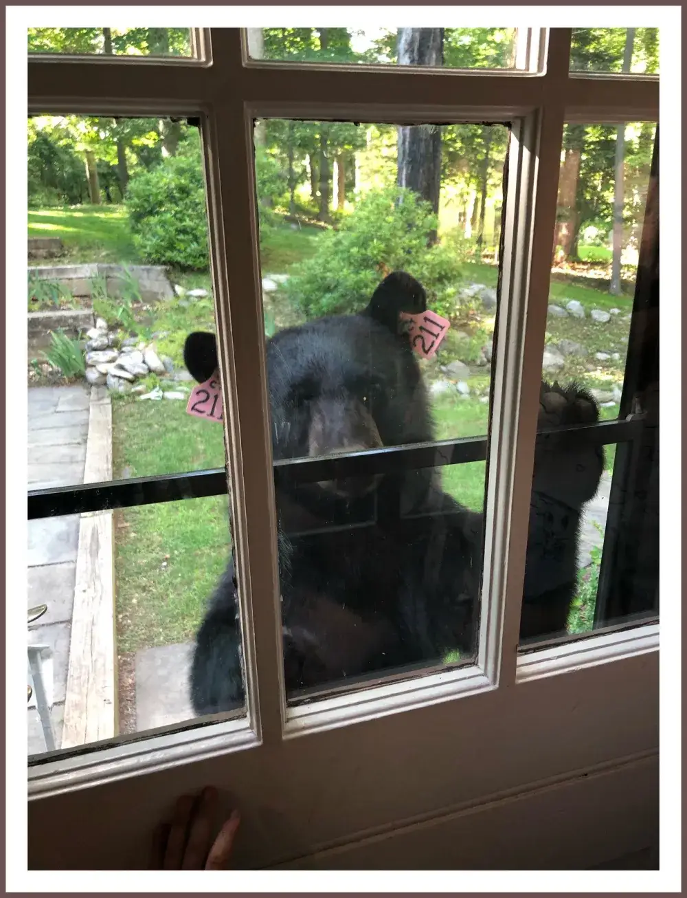 thumbnail based on file