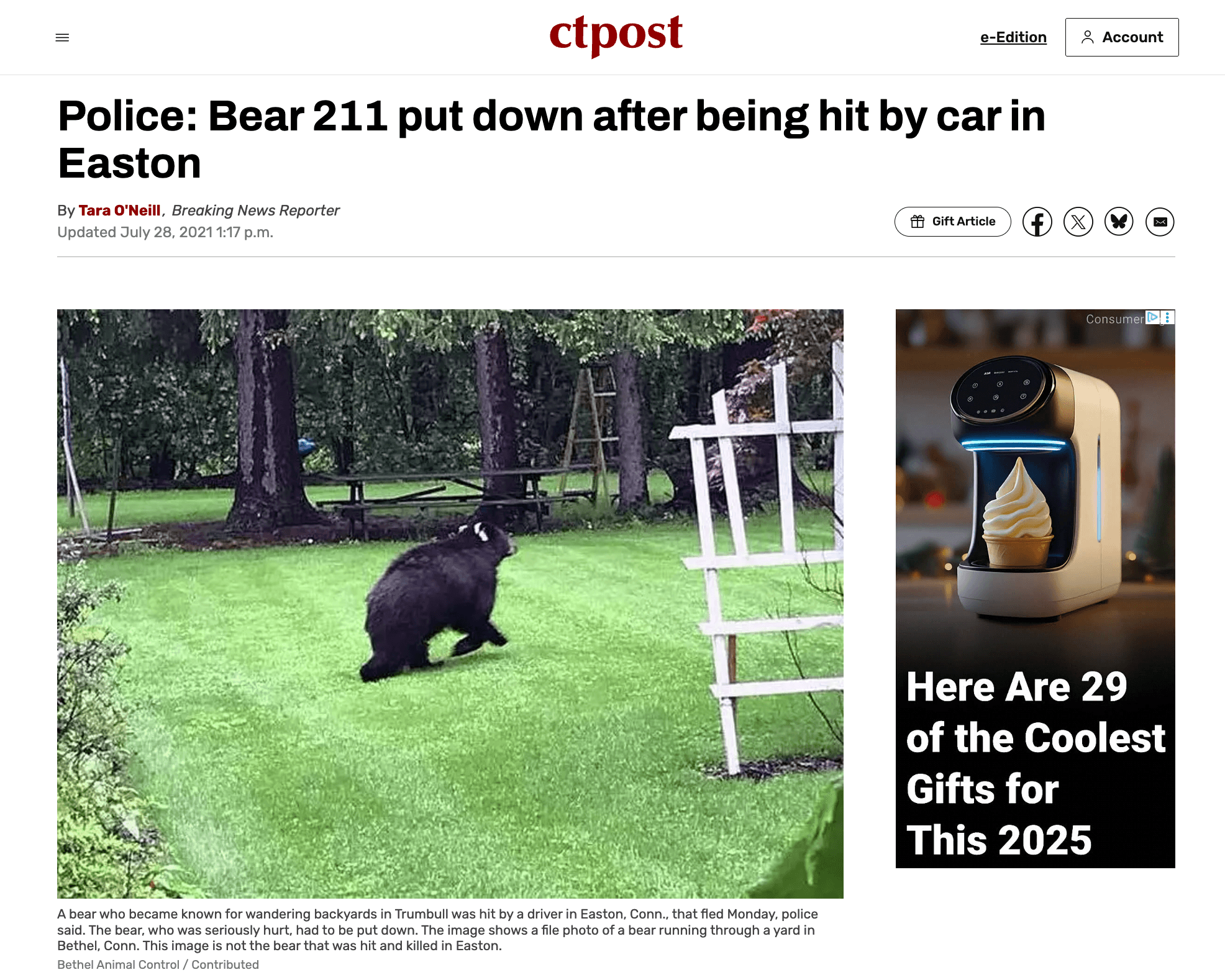 https://www.ctpost.com/news/article/Police-Bear-put-down-after-being-hit-by-car-in-16345356.php