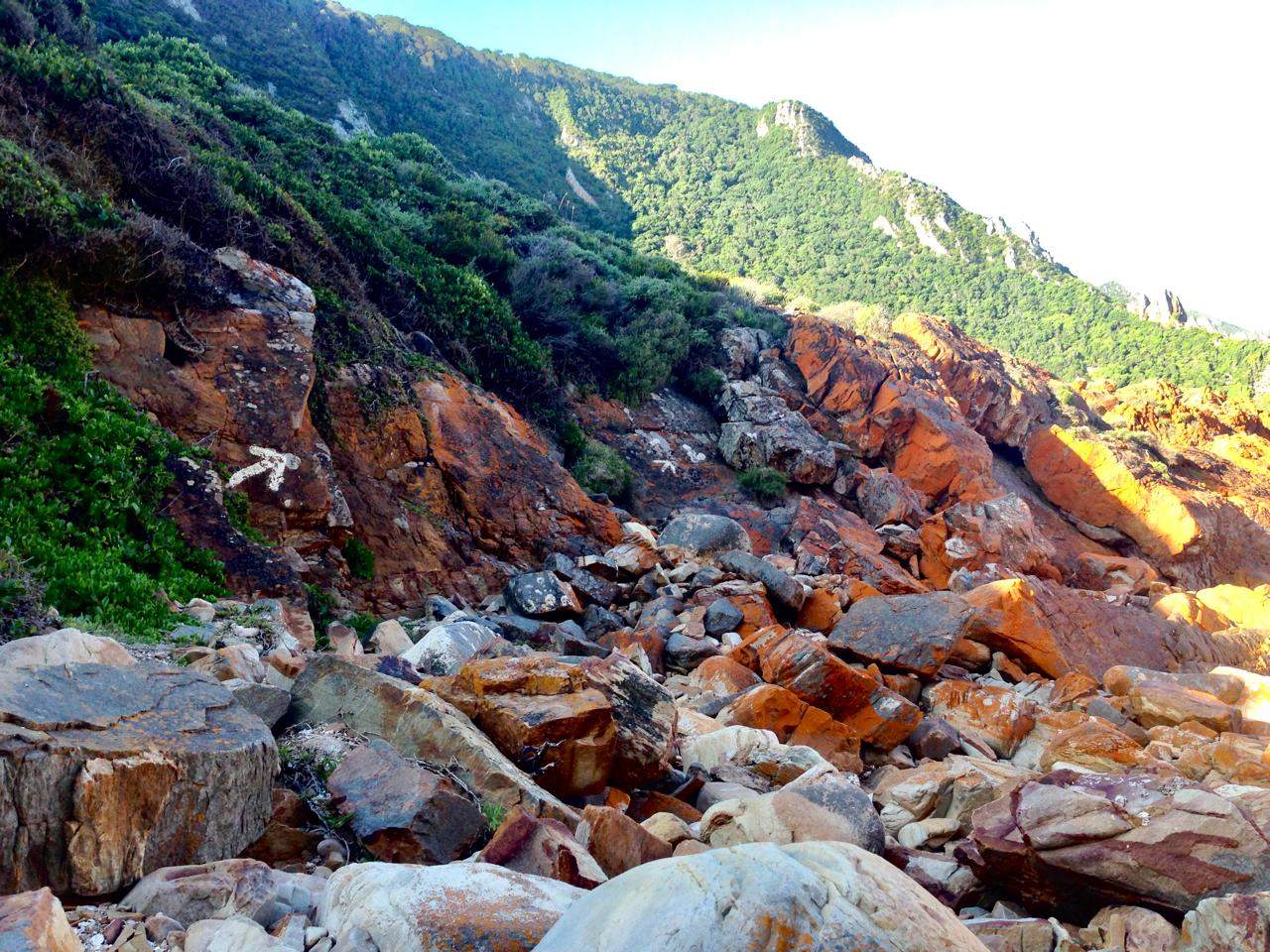 A rocky, uneven trail through coastal fynbos at Harkerville, with a painted arrow marking the way forward.