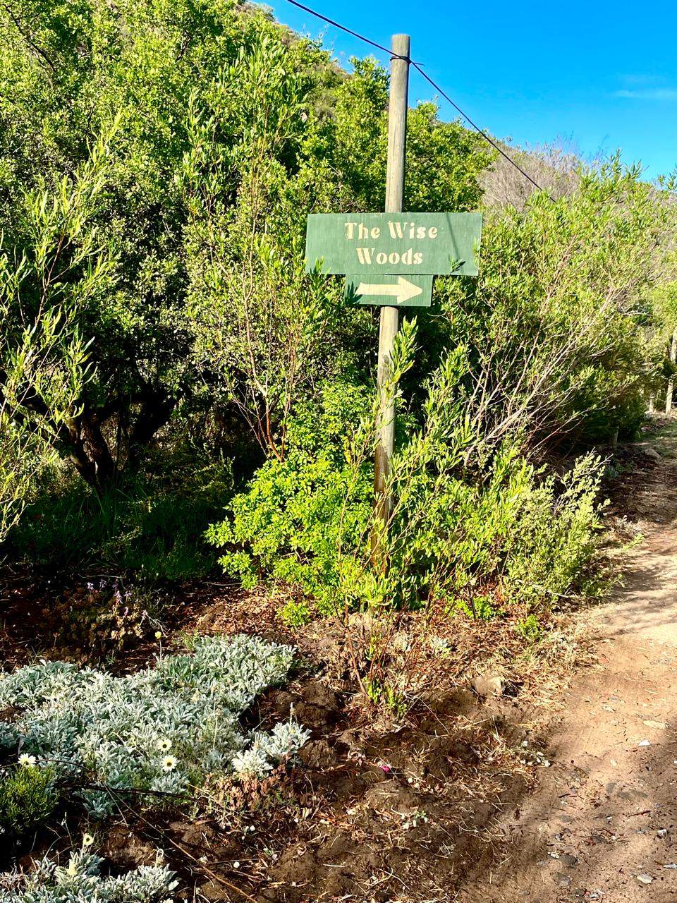 A wooden trail sign reading 'The Wise Woods' with an arrow pointing along a dirt path.