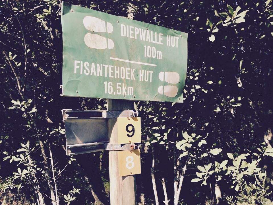 A wooden trail signpost in Diepwalle Forest showing distances to two different huts, 100 metres and 16.5 kilometres.