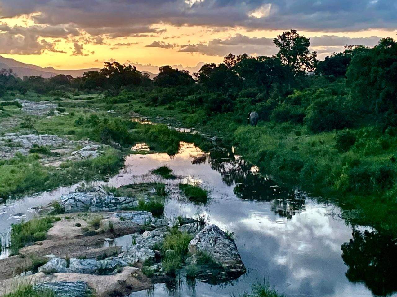 A river winding through the Kruger bushveld at sunset, with an elephant visible in the distance.