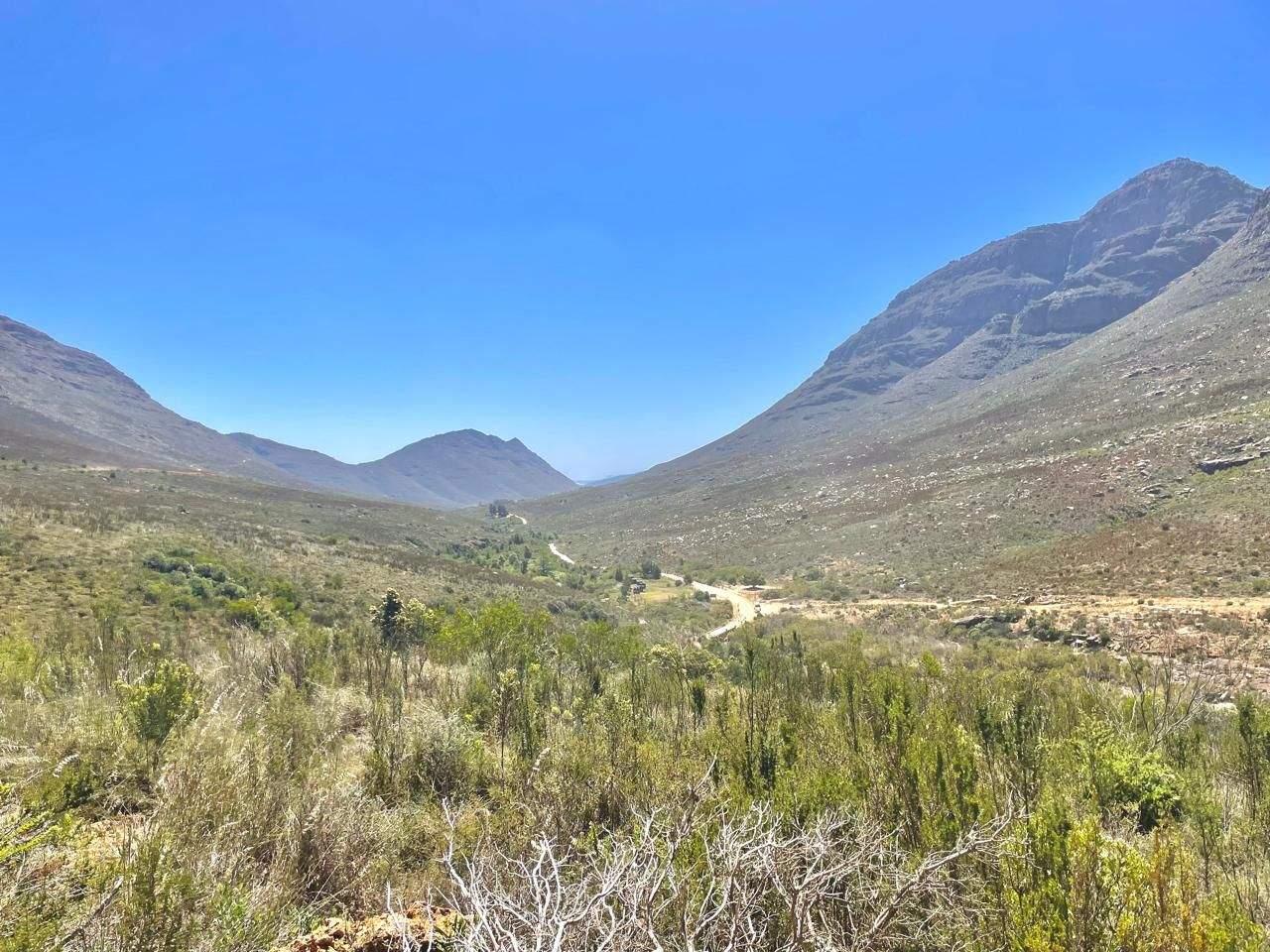 A wide mountain valley in the Cederberg, with a single road winding through between converging peaks.